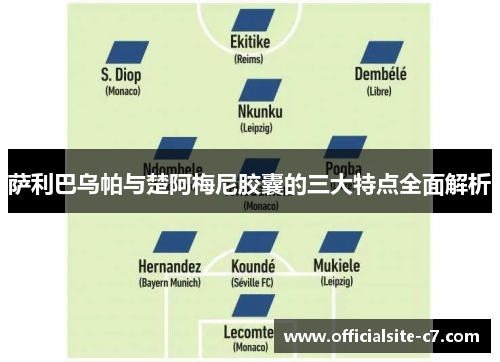 萨利巴乌帕与楚阿梅尼胶囊的三大特点全面解析 萨利巴乌帕与楚阿梅尼胶囊的三大特点全面解析