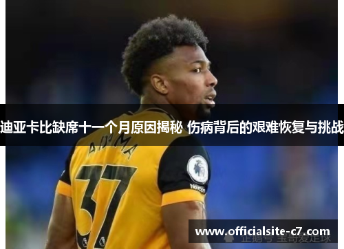 迪亚卡比缺席十一个月原因揭秘 伤病背后的艰难恢复与挑战