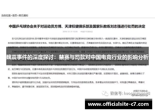 魏震事件的深度探讨：禁赛与罚款对中国电竞行业的影响分析